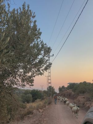 Gallery image Kalkan